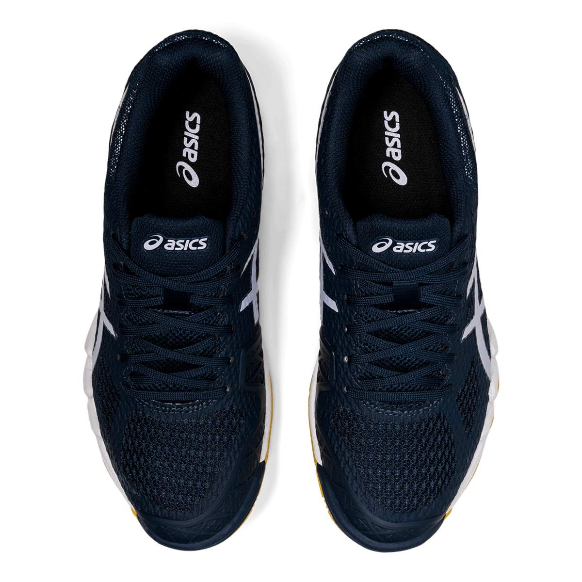 Squashi ja sulgpalli spordijalats Asics Gel-Blade 7 W 2019 (French Blue/Lilac Opal)