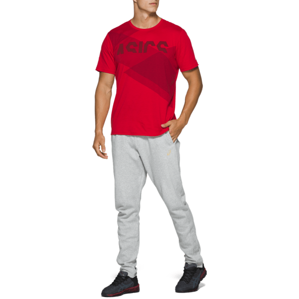 Meeste T-särk Asics Tokyo Graphic Tee M 2020 (Classic Red/Beet Juice)